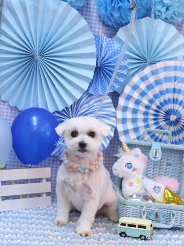 20231129うららちゃん